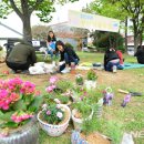 작은여우비 이미지