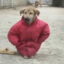 암사골목냉면 이미지