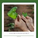 자이언트컴퍼니 이미지