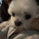 구름멍스테이 이미지