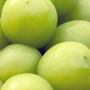 윤채농장 이미지