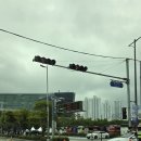 (주)소프트에이드 | 내가 카페를 오픈한다는 마음으로 관람한 제 15회 &#34;2025년도 벡스코 커피 박람회&#34; 후기