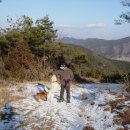 무진농장 이미지