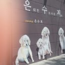 은퇴한 수의사의 저택 이미지