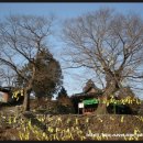 전라남도 농업박물관(운동장) 이미지