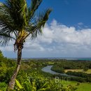 뉴서울농장2 이미지