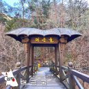 태백케이블방송 | 삼척 대금굴 환선굴 모노레일 예약 입장료 강원도 동굴 박쥐