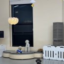 요리조리유치원 이미지