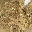 새순농장 이미지