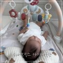 정도체육관 | 2개월 아기 놀이 하베브릭스 아기체육관 조립 방법 및 사용 후기