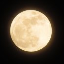 정월샘식품 | 생로병사의 비밀-[고통과의 고독한 싸움, 만성통증]