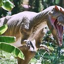 커피한잔의 추억 | 커피 한 잔의 추억이 노랗게 변해버렸어요