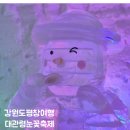 횡계초등학교 | 강원도 대관령눈꽃축제|기간 입장료 주차장 이용정보