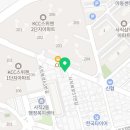 부산강아지분양 하이퍼피 이미지