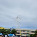 대양고등학교 | 강원생활 과학고등학교 개교 50주년 기념 및 총동문 체육대회 원시범단 시범 후기