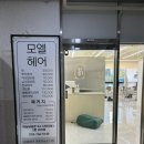 모엘헤어 이미지
