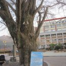 선창 농장 이미지