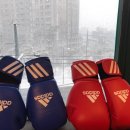 밴텀복싱다이어트 이미지