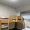 치산관광지 캠핑장 이미지