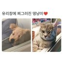행복해 이미지