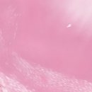 그림책 하브루타 코칭과정(하브루타 지도사 2급) 이미지