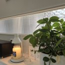 솔샘초등학교 이미지