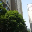 우경공인중개사사무소 이미지