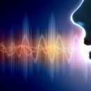 해보면사무소 이미지