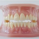 피카소 치과의원 이미지