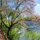 백제가요정읍사오솔길(2코스 내장호 수변데크) 이미지