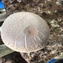 종화농장 이미지