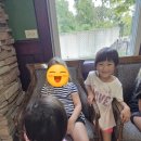 네이쳐캠프70s 3 | [DLM 영어캠프] #15 히스토릭한 미국 성당 St.James VBS + Lemont 추천 장소 (Waterfall glen, Little...
