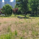 관동부동산 중개사무소 이미지