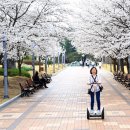 직지문화공원화장실 이미지