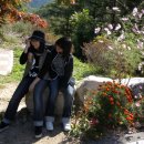 새말목장 이미지