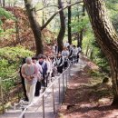 스테이버디 이미지