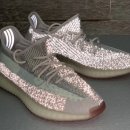 이지패션 이미지