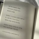 마이미마이 이미지