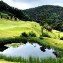 속리산cc 이미지