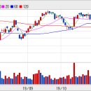 (주)포커스투어 이미지