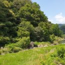 대하리 소공원 이미지