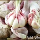 Re: 보은유황 햇마늘(밭마늘) 50% 맛보기 이벤트 당첨자 발표 이미지