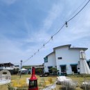 상주애견 이미지