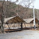 강촌포도팬션&캠핑장 티스토리