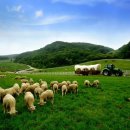 순환목장 이미지