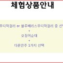 막걸리싸롱