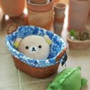 블루바스켓