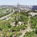 맑음터공원 캠핑장 이미지