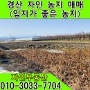 자인메디칼