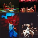 춤의 고을 고성사람들 이미지